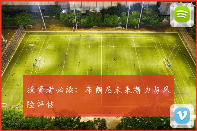 投资者必读：布朗尼未来潜力与风险评估