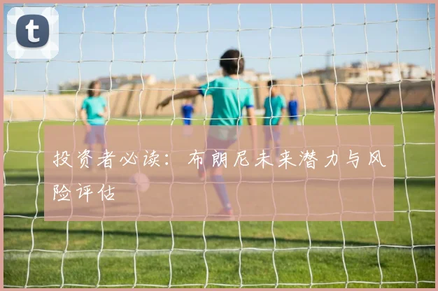 投资者必读：布朗尼未来潜力与风险评估